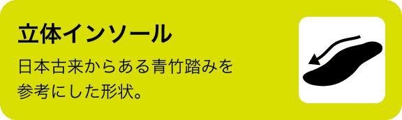立体インソール